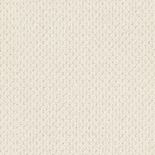 Anderson Tuftex Value Collections Ts519 Sparkling 00121_TS519