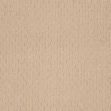 Anderson Tuftex Value Collections Ts825 Big City Beige 00172_TS825