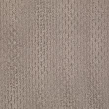Anderson Tuftex Value Collections Ts825 Birch Shadow 00555_TS825