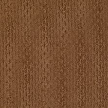 Anderson Tuftex Value Collections Ts825 Modern Brown 00728_TS825