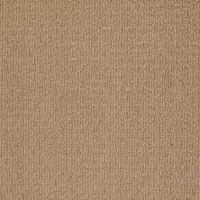 Anderson Tuftex Value Collections Ts825 Bali Sand 00782_TS825