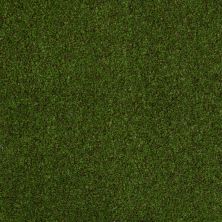 Philadelphia Commercial No Rules Timber Creek Trail Mix