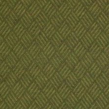 Philadelphia Commercial No Rules Holmes Park Olive Amber