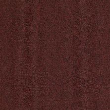 Philadelphia Commercial No Rules Green Meadow Barnside