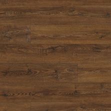 Shaw Floors Resilient Residential COREtec Plus Plank HD Barnwood Rustic Pine 00645_VV031