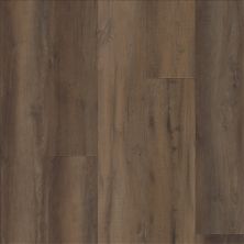 COREtec Nfa Lasting Luxury Estate Lasting Luxury Premium 9″ Pride Oak 02907_VH046