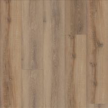 COREtec Nfa Lasting Luxury Estate Lasting Luxury Premium 9″ Brunswick Oak 02908_VH046