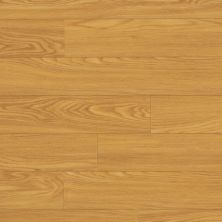 Shaw Floors Resilient Residential Virtuoso 5″ Rocky Mountain Oak 00207_VV023