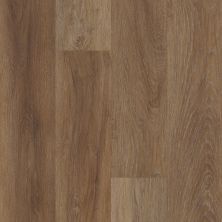 Shaw Floors Elite Performance Spc Ramsey Magellanic Oak 02080_CV187