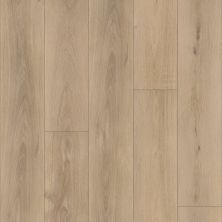 Resilient Residential COREtec Pro Premium Vv968 Ravenswood Oak 2091A_VV968