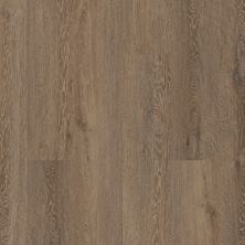 COREtec Resilient Residential Ct HD 7×60 Intg Laurent Oak 04020_VV735