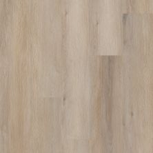 Resilient Residential COREtec Pro Plus Enhanced Planks Aldergrove Oak 02029_VV492