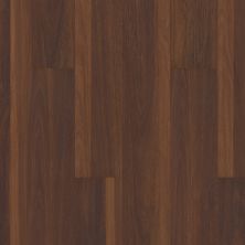 Resilient Residential COREtec Pro Classics Vv017 Biscayne Oak 01008_VV017