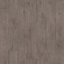 Shaw Floors Resilient Residential Plateau Pathfinder 00551_SA605