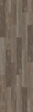 Shaw Floors Resilient Residential Intrepid HD Plus Antique Pine 05006_2024V