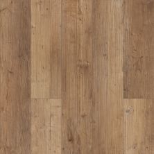 Shaw Floors Resilient Property Solutions Resolute 5″ Plus Touch Pine 00690_VE277