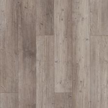 Shaw Floors Resilient Property Solutions Resolute 5″ Plus Distinct Pine 05039_VE277