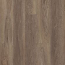 Shaw Floors Resilient Residential Paragon 7″ Plus Wire Walnut 07040_1020V