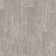 Shaw Builder Flooring Resilient Residential Sublime Vision Tucana 05030_VG090