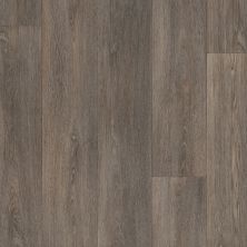 Shaw Floors Resilient Residential GREAT PLAINS Idaho