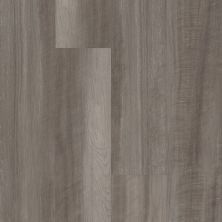 Shaw Floors Resilient Residential Paramount 512c Plus Oyster Oak 00591_509SA