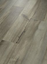 Shaw Floors Resilient Residential Endura Plus Sea Glass 05092_0736V