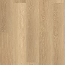 Shaw Floors Resilient Residential Paramount 512c Plus Castaway 07087_509SA