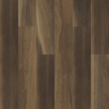 Shaw Floors Resilient Residential Cathedral Oak 720c Plus Ravine Oak 00798_0866V