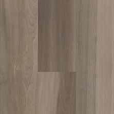 Shaw Floors Resilient Residential Cathedral Oak 720c Plus Chestnut Oak 05010_0866V