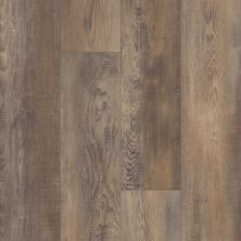 Resilient Residential Pantheon HD Plus Shaw Floors  Saggio 00159_2001V