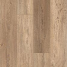 Resilient Residential Pantheon HD Plus Shaw Floors  Foresta 00282_2001V