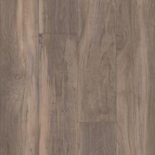 Shaw Floors Resilient Residential Pantheon HD Plus Ardesia 00558_2001V