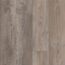 Resilient Residential Pantheon HD Plus Shaw Floors  Tempesta 00594_2001V