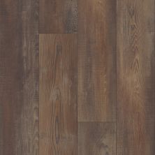Resilient Residential Pantheon HD Plus Shaw Floors  Orso 00794_2001V