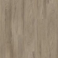 Shaw Floors Resilient Residential Pantheon HD Plus Pisa 01027_2001V