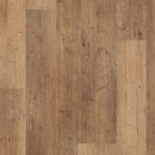 Shaw Floors Resilient Residential Paragon Mix Plus Touch Pine 00690_1021V