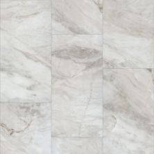 Shaw Floors Resilient Residential Paragon Tile Plus Catalina 01109_1022V