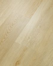 Shaw Builder Flooring Clayton Homes Augusta River Bend Oak 00296_C172Y