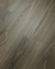Shaw Builder Flooring Clayton Homes Augusta Dark Elm 00915_C172Y
