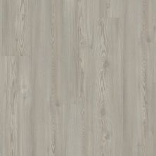 Shaw Builder Flooring Clayton Homes Augusta Clean Pine 05077_C172Y