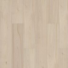 Resilient Residential Prodigy Hdr Plus Shaw Floors  Ethereal 01069_2038V