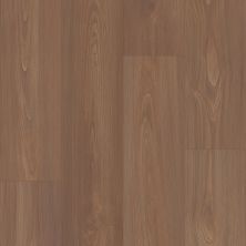 Shaw Floors Resilient Residential Prodigy Hdr Mxl Plus Sable 06010_2039V