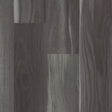 Shaw Floors Resilient Residential Tenacious Hd+ Accent Shadow 00921_3011V