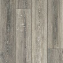Resilient Residential Tenacious Hd+ Accent Shaw Floors  Cavern 00922_3011V