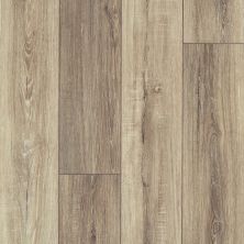 Resilient Residential Tenacious Hd+ Accent Shaw Floors  Sable 07083_3011V