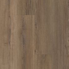Resilient Residential Tenacious Hd+ Accent Shaw Floors  Bamboo 07084_3011V