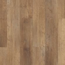 Shaw Floors Resilient Residential Paladin Plus Touch Pine 00690_0278V