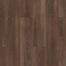 Shaw Floors Resilient Property Solutions Polaris Plus Ripped Pine 07047_VE433
