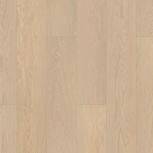 Shaw Builder Flooring Clayton Homes Heardsville Plus Oceanfront 02012_C310Y