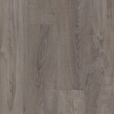 Shaw Floors Resilient Residential Pearsoll Plus Temporale 00578_HSS49